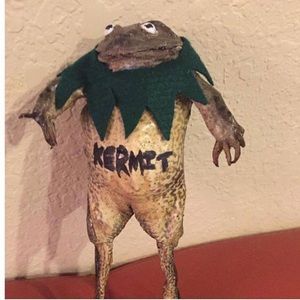 Meet your Posher, Cole